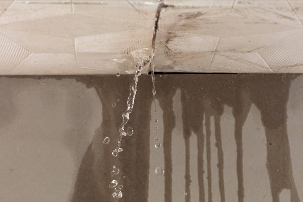 Professional Burst Pipe Cleanup technician working in Monteagle, TN